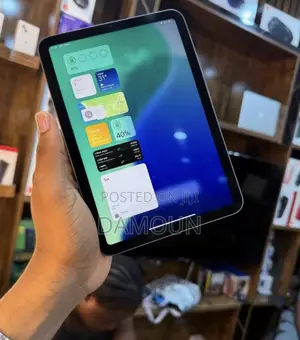 Apple iPad mini 6 256 GB Gray