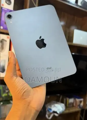 Apple iPad mini 6 256 GB Gray
