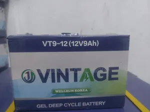 9ah 12v Vintage Gel Battery