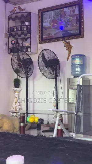 Industrial Standing Fan