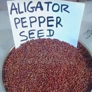 Alligator Pepper Seeds 100g – Natural Alligator Pepper for Wellness