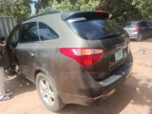 Hyundai Veracruz 2007 Gray
