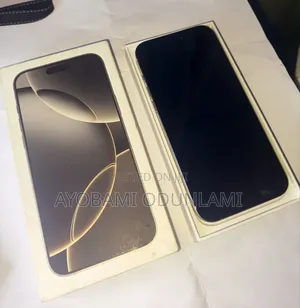 Apple iPhone 16 Pro Max 256 GB Gray