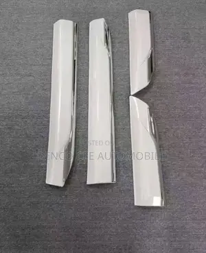 Door Molding for Toyota Land Cruiser 2024 Model