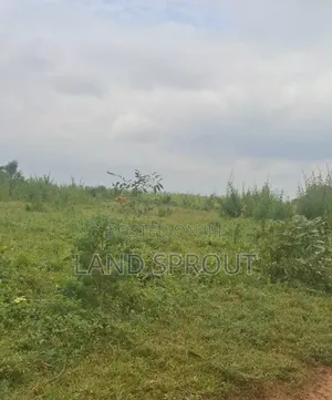 11 Acres Farmland at Onifufu, Ido, Ibadan