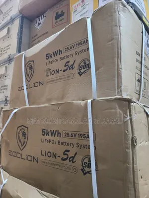 5kwh/24v Ecolion Lithium Battery