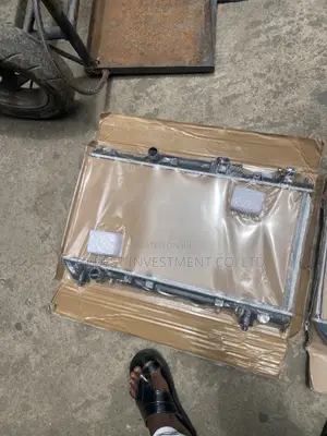 Qaulity Radiator Avenvis Old Model Double Cell