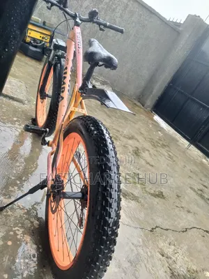 Simba Fat Tyre Bicycle