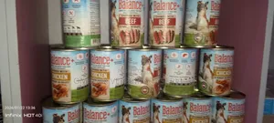 Cat and Dog Foods
