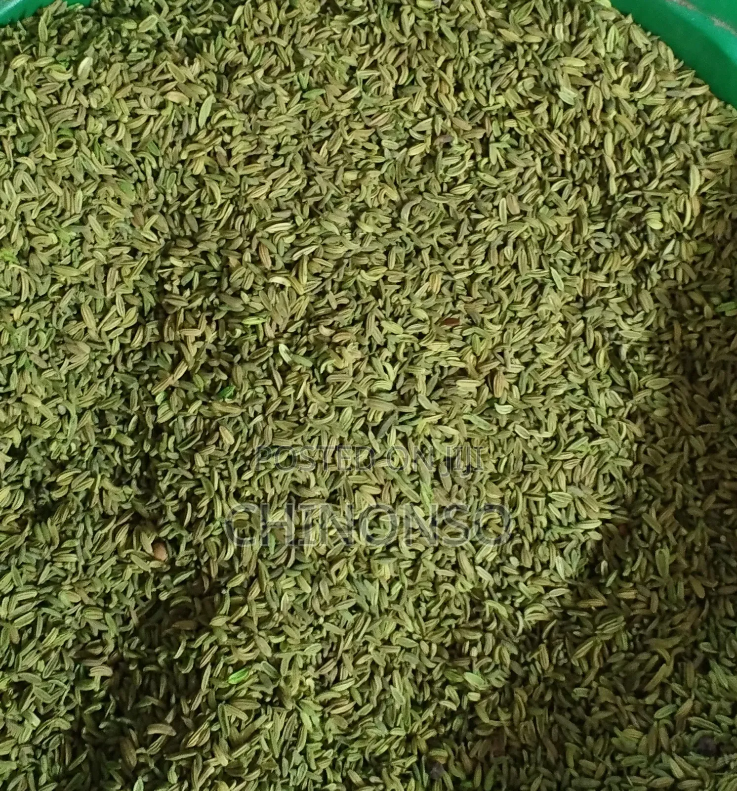 Seeds and Herbs