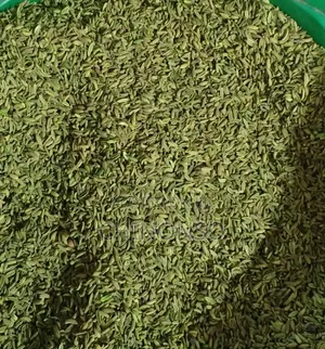Seeds and Herbs