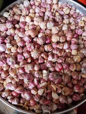 Seeds and Herbs