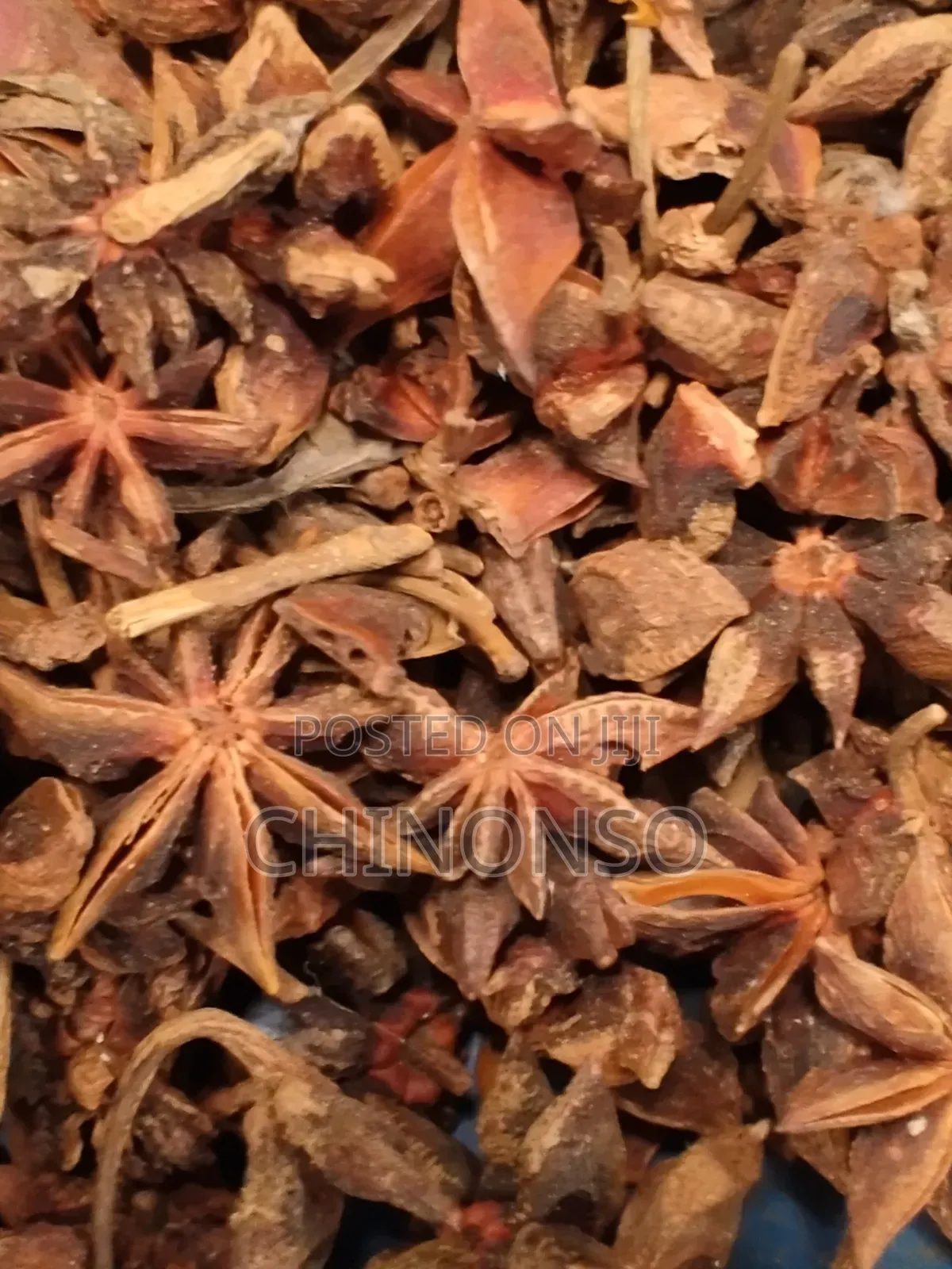 Seeds and Herbs