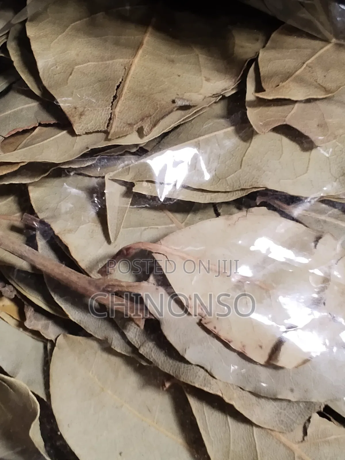 Seeds and Herbs
