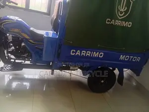 New Tricycle 2024 Blue