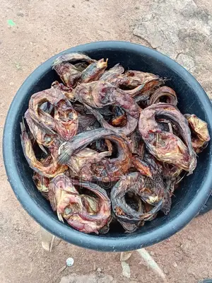 Dried Catfish