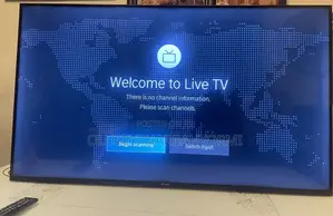 Television