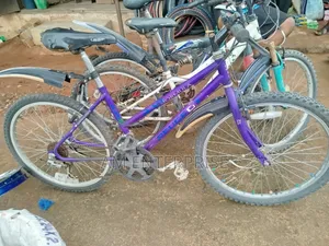 Peugeot Formula Size 24 Cruiser