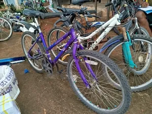 Peugeot Formula Size 24 Cruiser