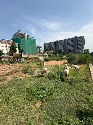 2432 SQM Residential Land in Maitama for Sale