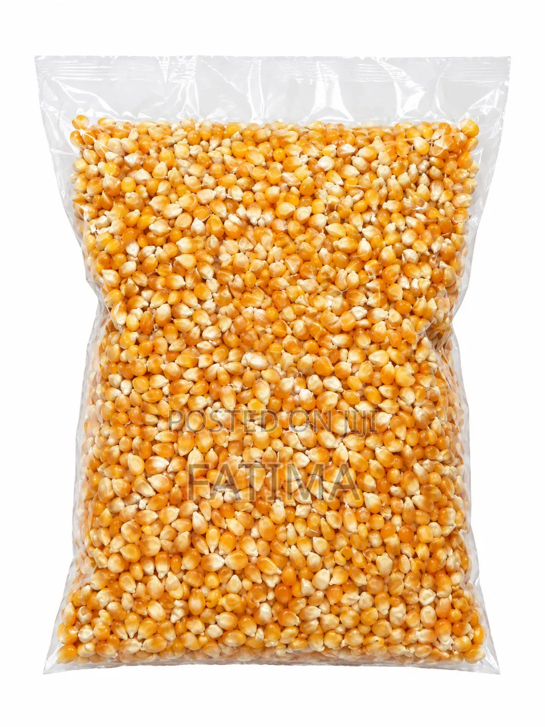 Popcorn Maize
