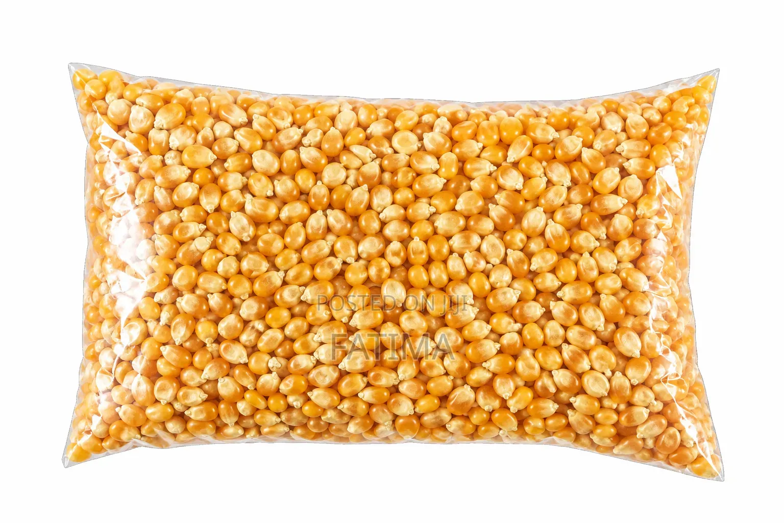 Popcorn Maize