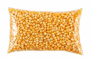 Popcorn Maize