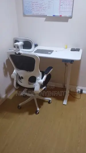 Lumbar Support Office Chair