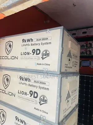 9kwh 48v Ecolion Lithium Ion Battery