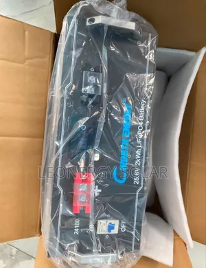 CWORTH 2kwh 24v Lithium Battery ( New Model )