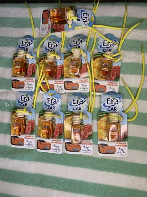ERA Car Air Freshener – Long Lasting Car Fragrance