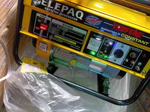 Elepaq Constant Generator SV6800 Build With 100% Copper Coin