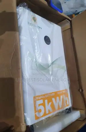 5kwh 24v Ecolion Lithium Ion Battery