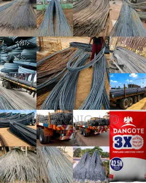 10mm Royal TMT Iron Rod