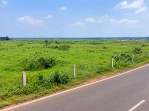 An Acre of Land for You