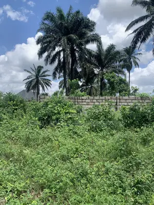 Prime Land for Sale – Igwuruta, Port Harcourt
