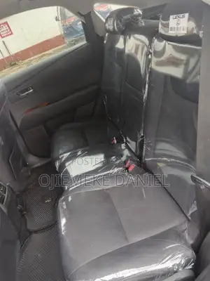 Lexus RX 350 2010 Gray