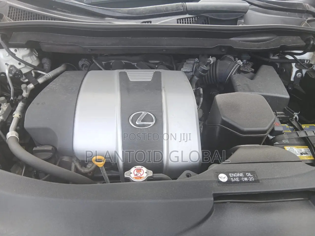 Lexus RX 2019 White