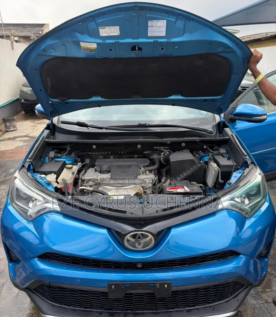 Toyota RAV4 2017 Blue