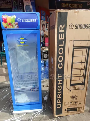 Snowsea 300l Upright Cooler | Lc-300w