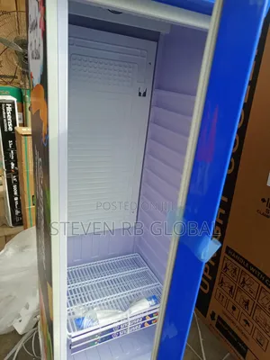 Snowsea 300l Upright Cooler | Lc-300w