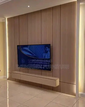 Television Console