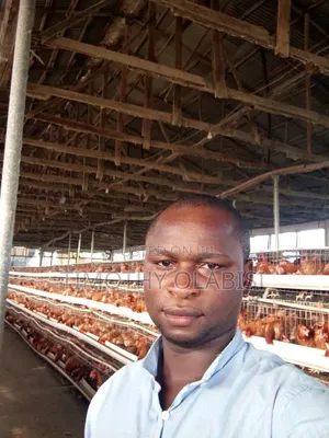 Experience Poultry and Feed Mill Manager