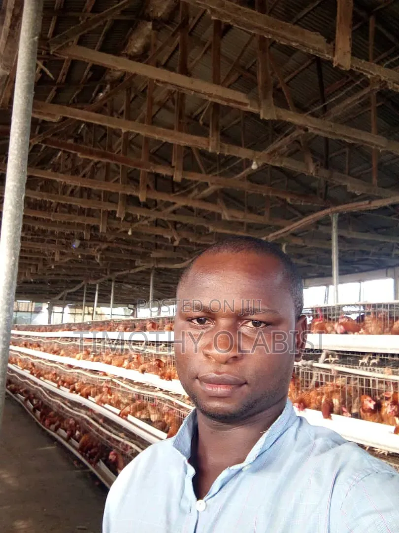 Experience Poultry and Feed Mill Manager