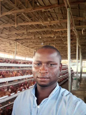 Experience Poultry and Feed Mill Manager