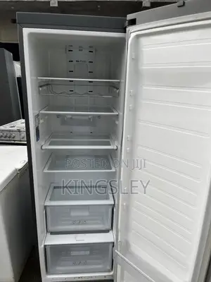 Samsung Inverter Standing Freezer