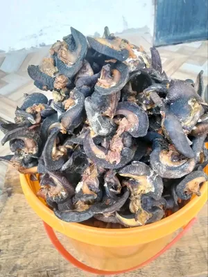 Export Standard Dried Snail
