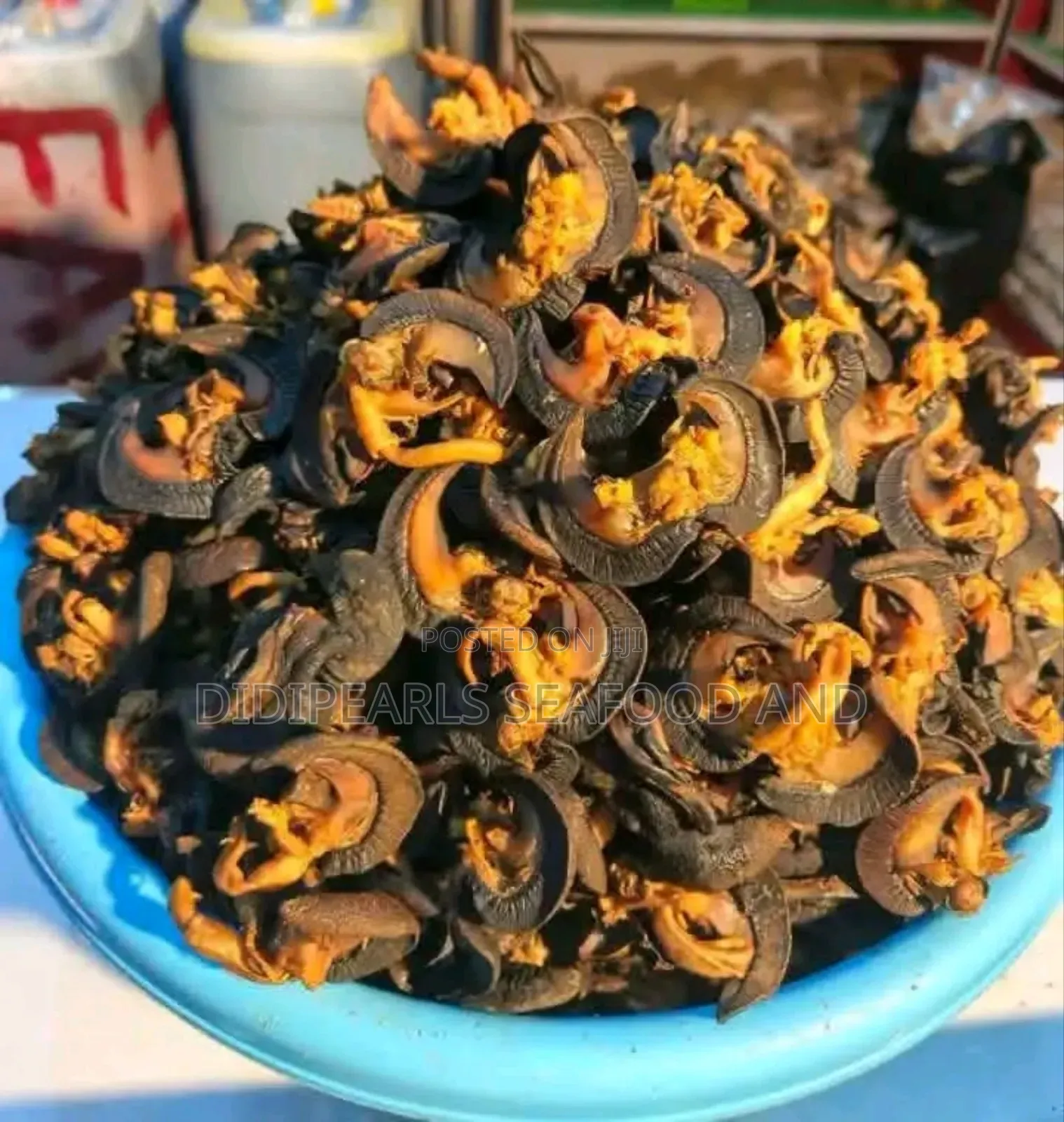 Export Standard Dried Snail
