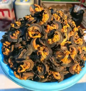 Export Standard Dried Snail