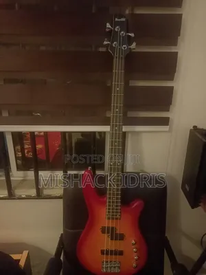 Bass Guitar